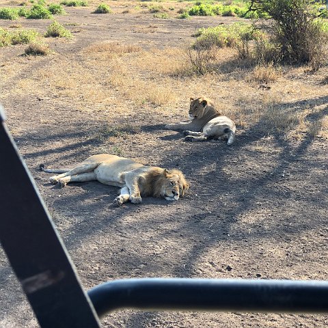 IMG 3644
