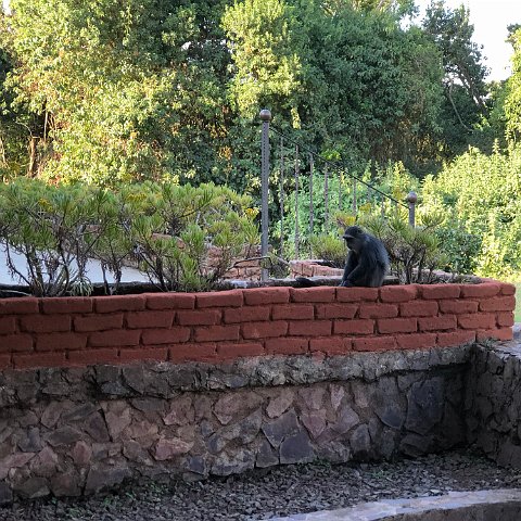 IMG 3940