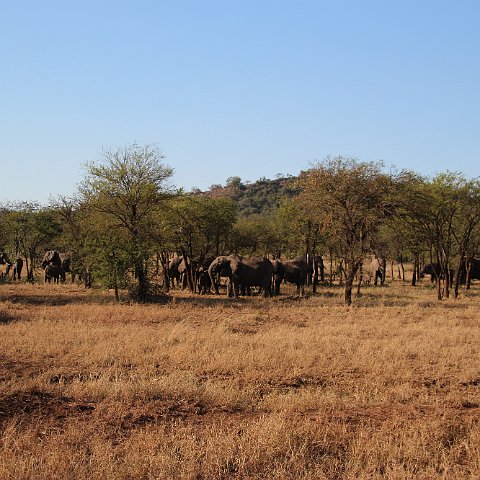IMG 7076