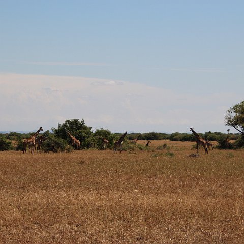 IMG 7350