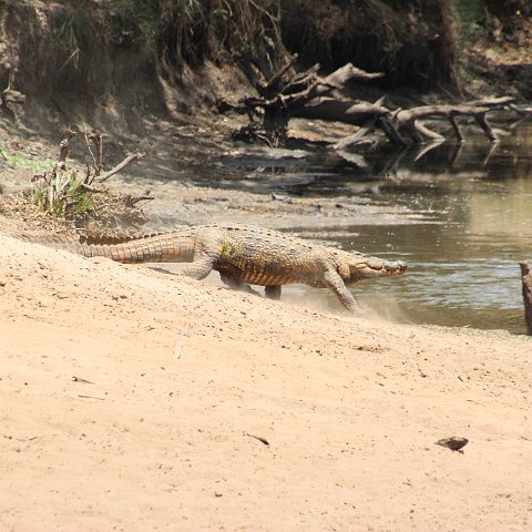 IMG 7386