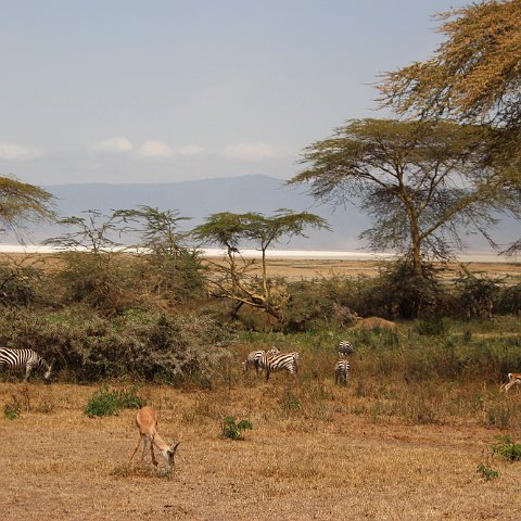 IMG 7452