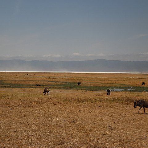 IMG 7464