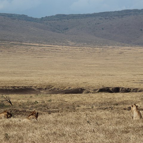 IMG 7537