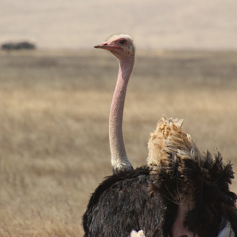 IMG 7544