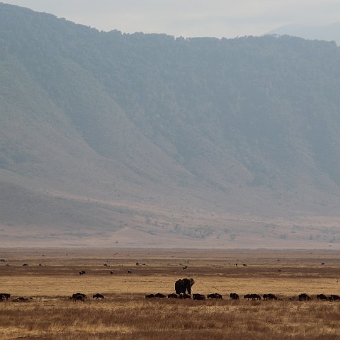 IMG 7592