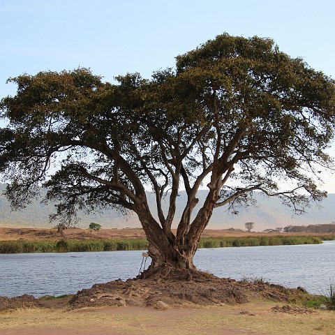 IMG 7638