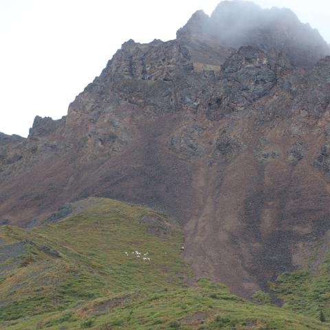 IMG 1900A