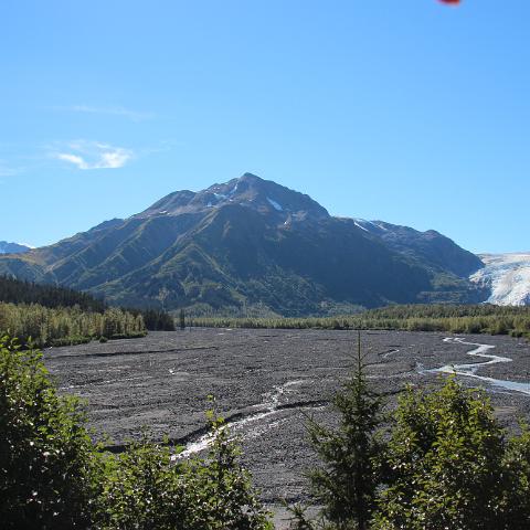 IMG 2340