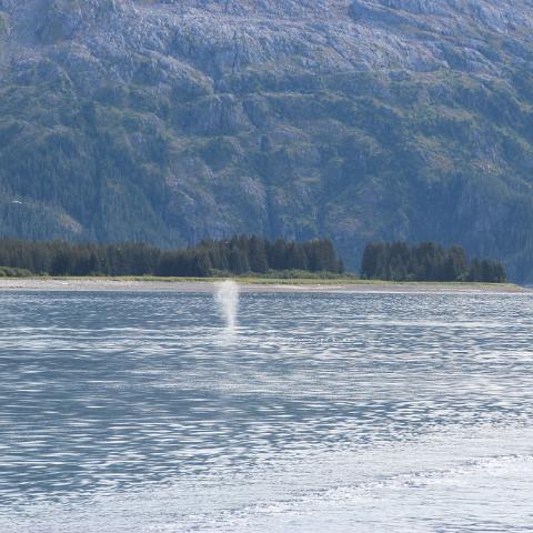 IMG 2690