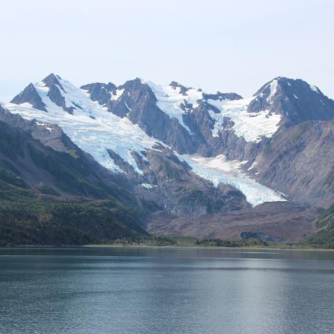 IMG 2750