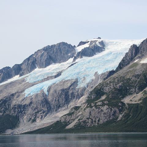 IMG 2779