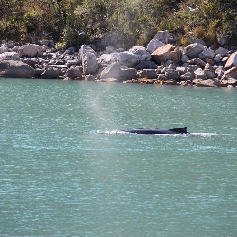 IMG 3019