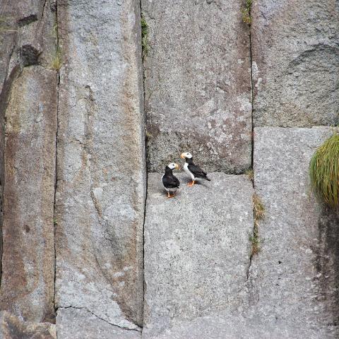 IMG 3187