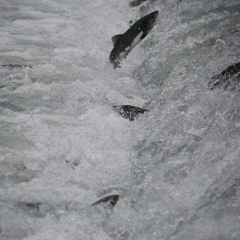 IMG 3465