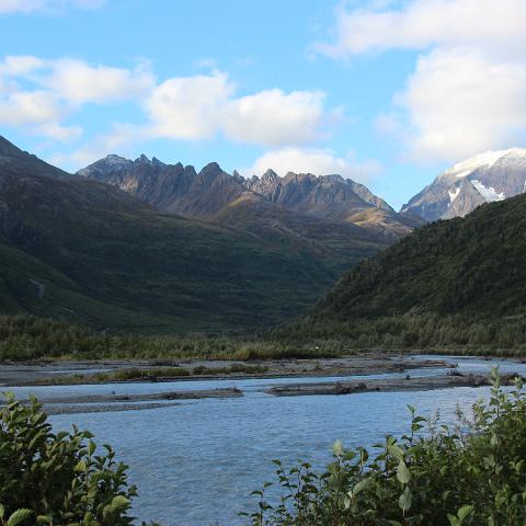 IMG 3645