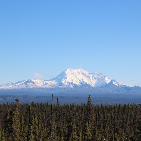 IMG 3674