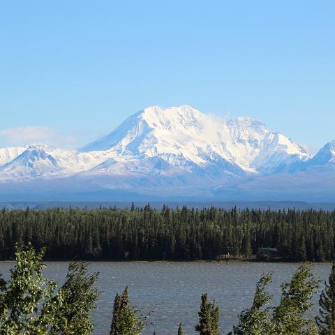 IMG 3689