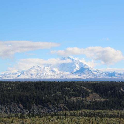 IMG 3710