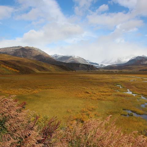IMG 3745