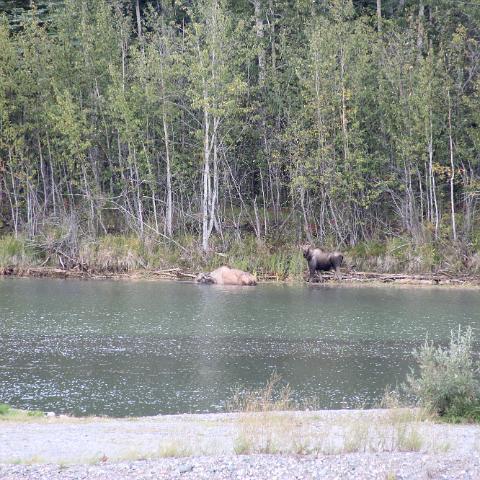 IMG 3790