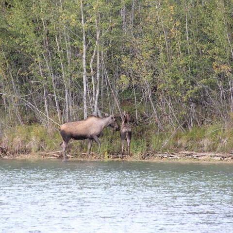 IMG 3796