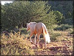 IMG_0347.jpg