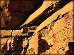 IMG_0351.jpg