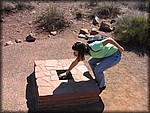 IMG_0381.jpg