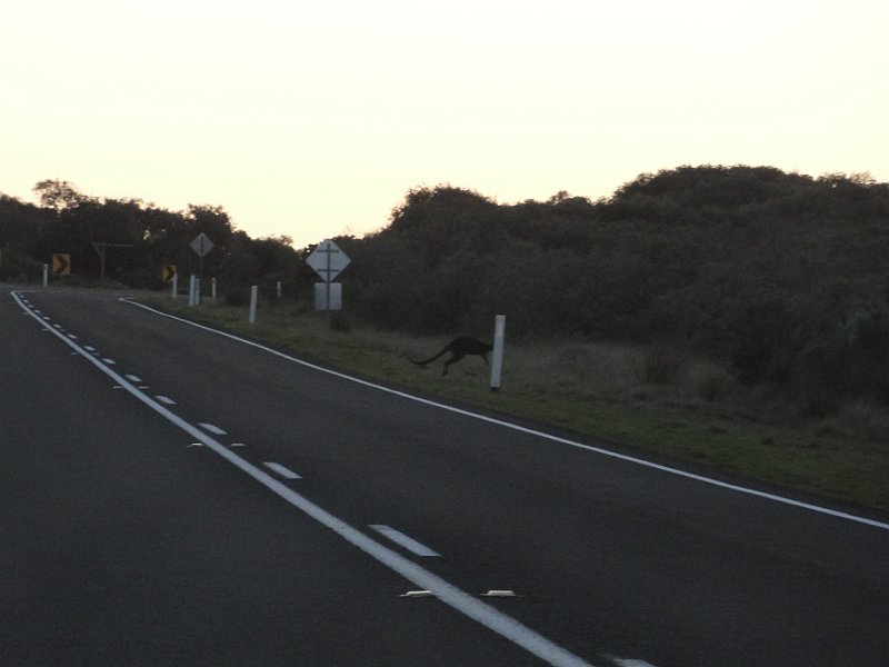 DSC05940.JPG