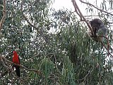 DSC05903