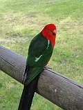DSC05911