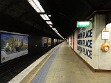 DSC06545