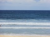 DSC06611