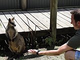 DSC06962