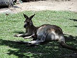 DSC06970