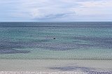 IMG_0195
