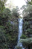 IMG_0265