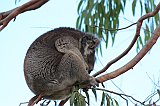IMG_0352