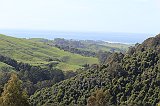 IMG_0590