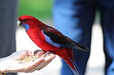 IMG_0633