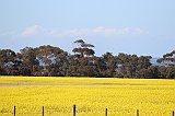 IMG_0651