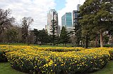 IMG_0716
