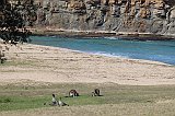 IMG_0885