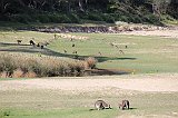 IMG_0888