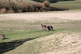 IMG_0902
