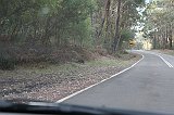 IMG_0953