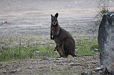 IMG_0961
