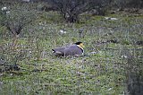 IMG_0979