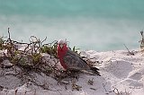 IMG_1115